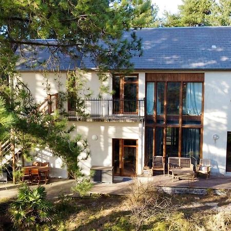 La Villa Dans Les Pins Quend Εξωτερικό φωτογραφία
