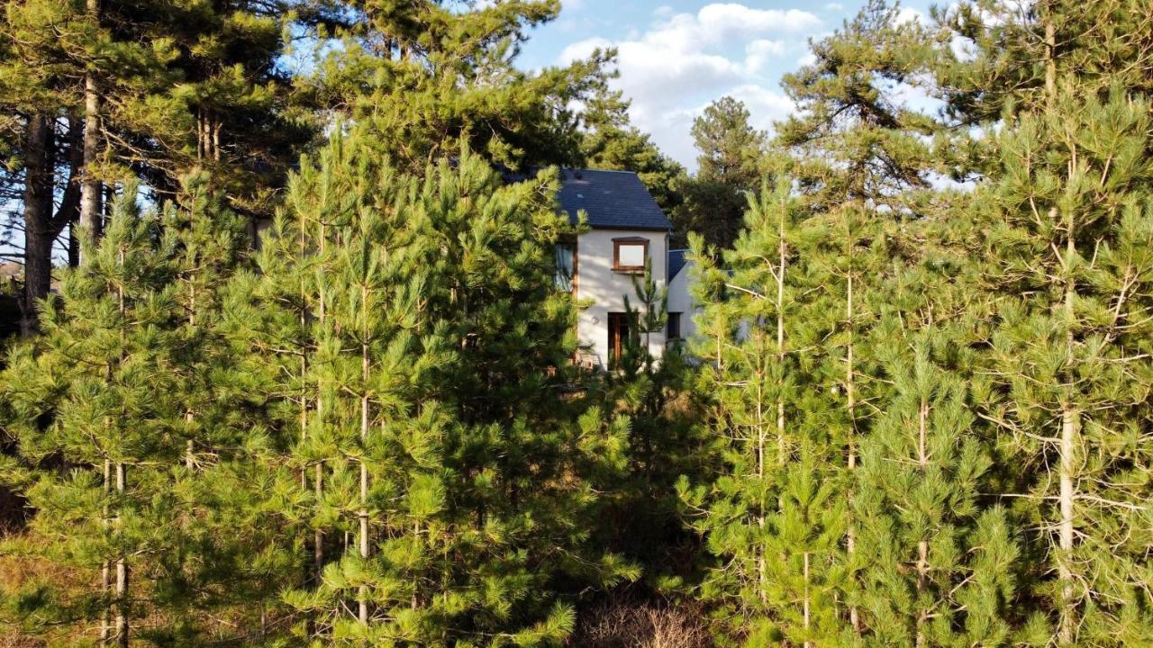 La Villa Dans Les Pins Quend Εξωτερικό φωτογραφία