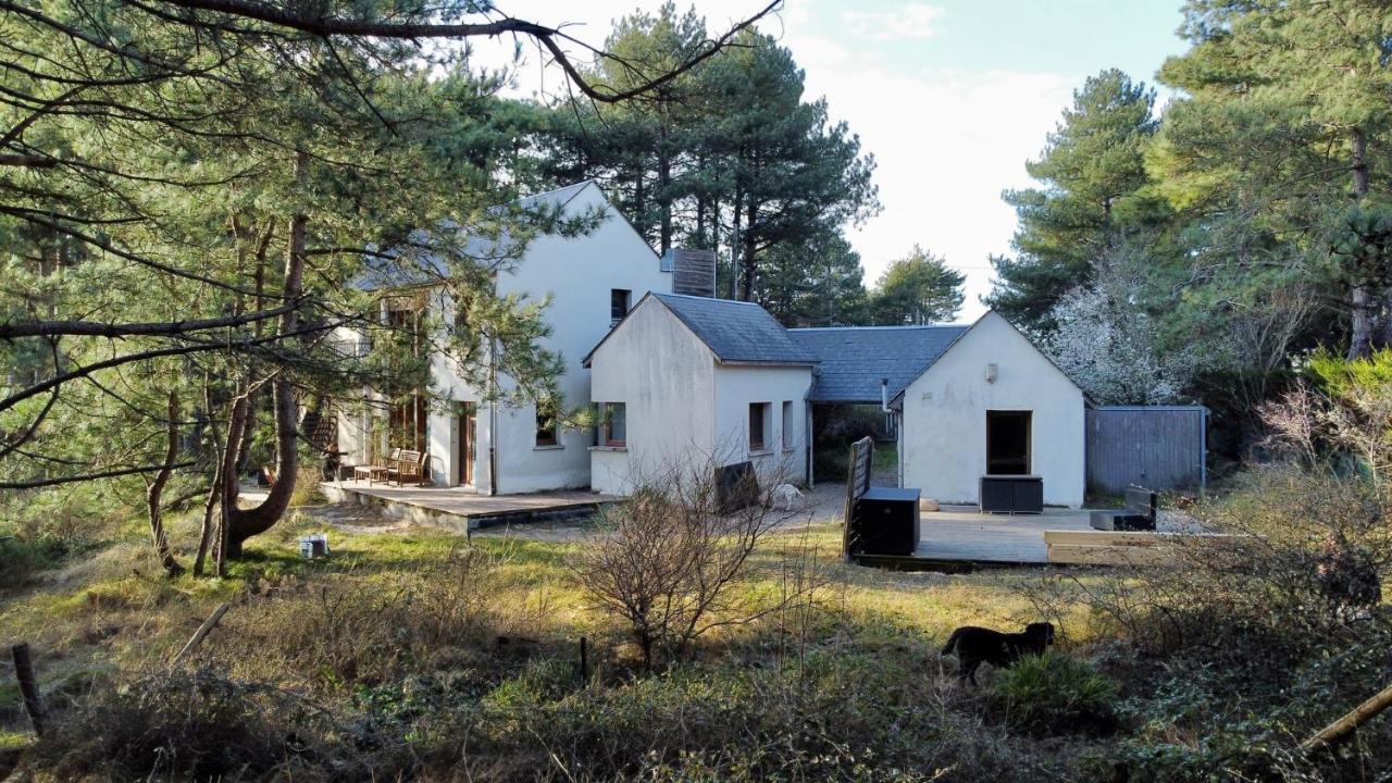 La Villa Dans Les Pins Quend Εξωτερικό φωτογραφία