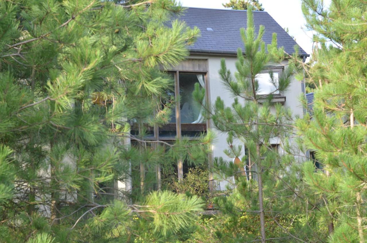 La Villa Dans Les Pins Quend Εξωτερικό φωτογραφία