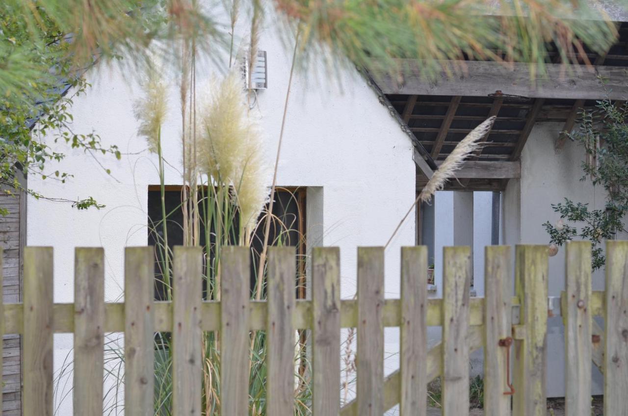 La Villa Dans Les Pins Quend Εξωτερικό φωτογραφία